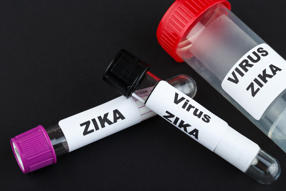 What You Need to Know About the Zika Virus