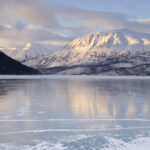 Seven Tips to Survive the Frozen Wilderness
