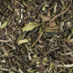 Is This Green Leafy Substance the Key to Your Good Health