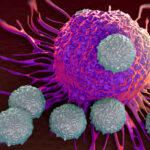 How cancer cells can be killed