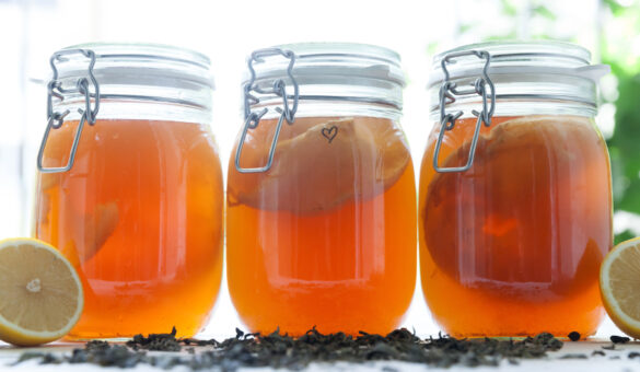 Home Fermentation: Kombucha - RedTea News