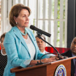 Pelosi promises gun control