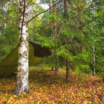 Types of survival shelter