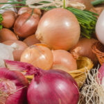 Alliums can protect against cancer
