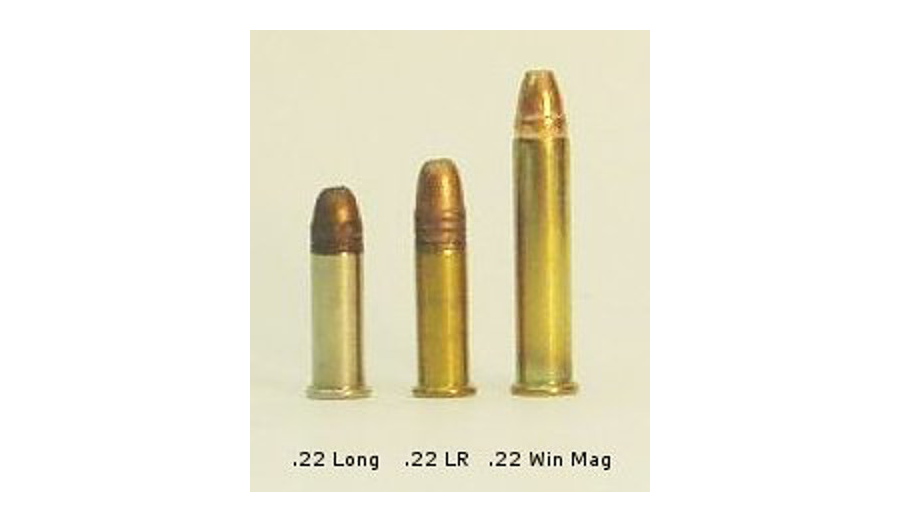 Survival Ammunition: .22 WMR.