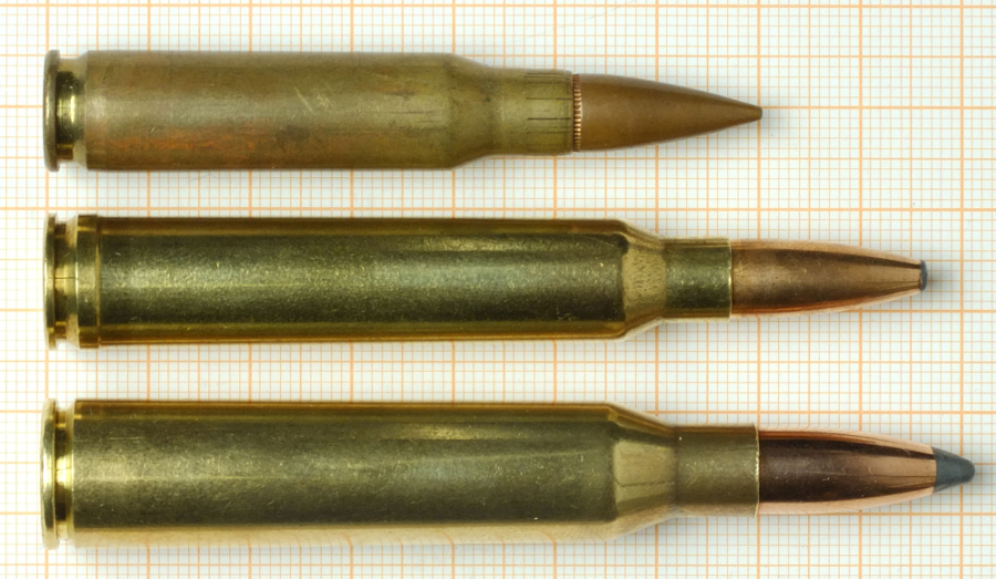 Survival Ammunition: .338 Lapua Magnum.